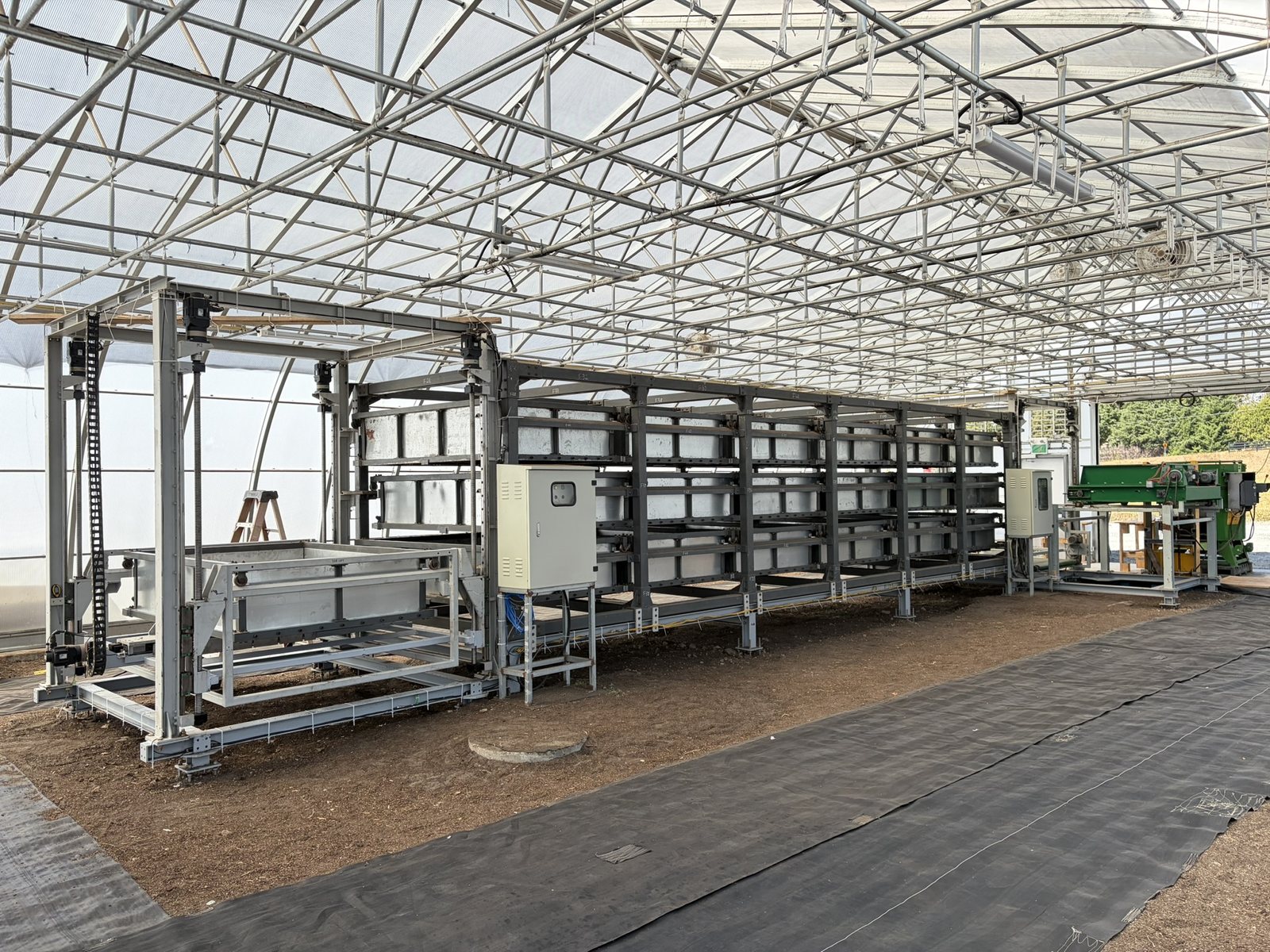 Complete 4G production line installed at a dairy farm in British Columbia, Canada — tray tower, transfer gantry, control cabinet and feed equipment